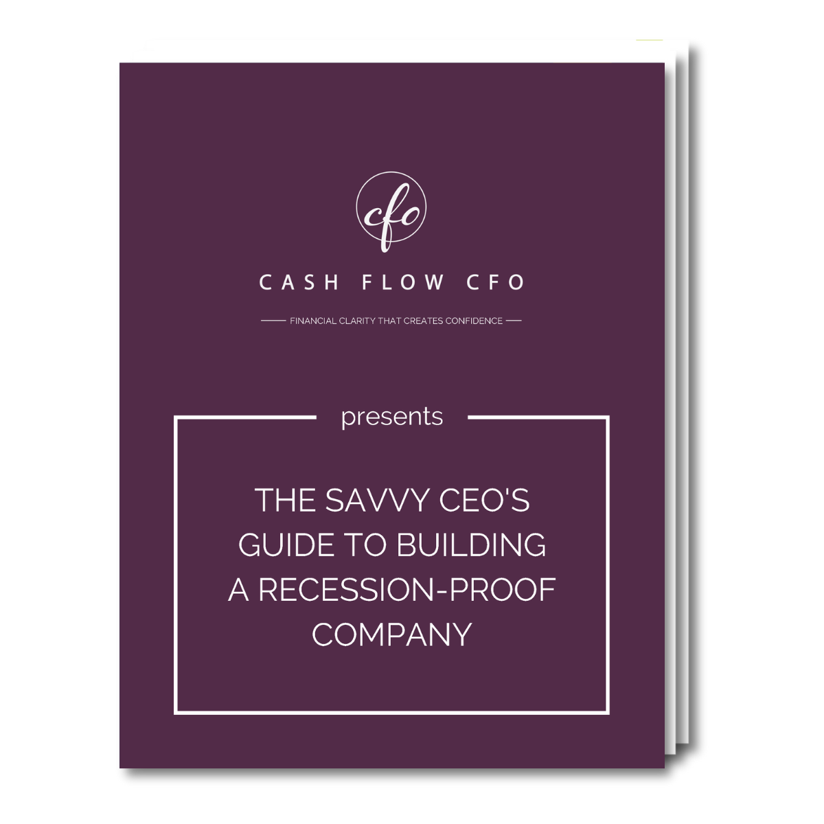 Recession Proof Financial Strategy